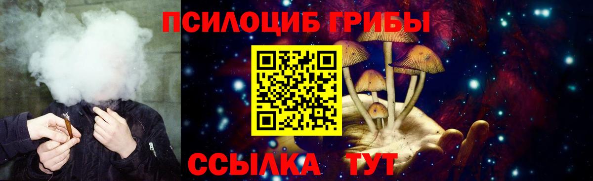 Псилоцибиновые грибы Psilocybine cubensis  Вход с VPN  Тавда 